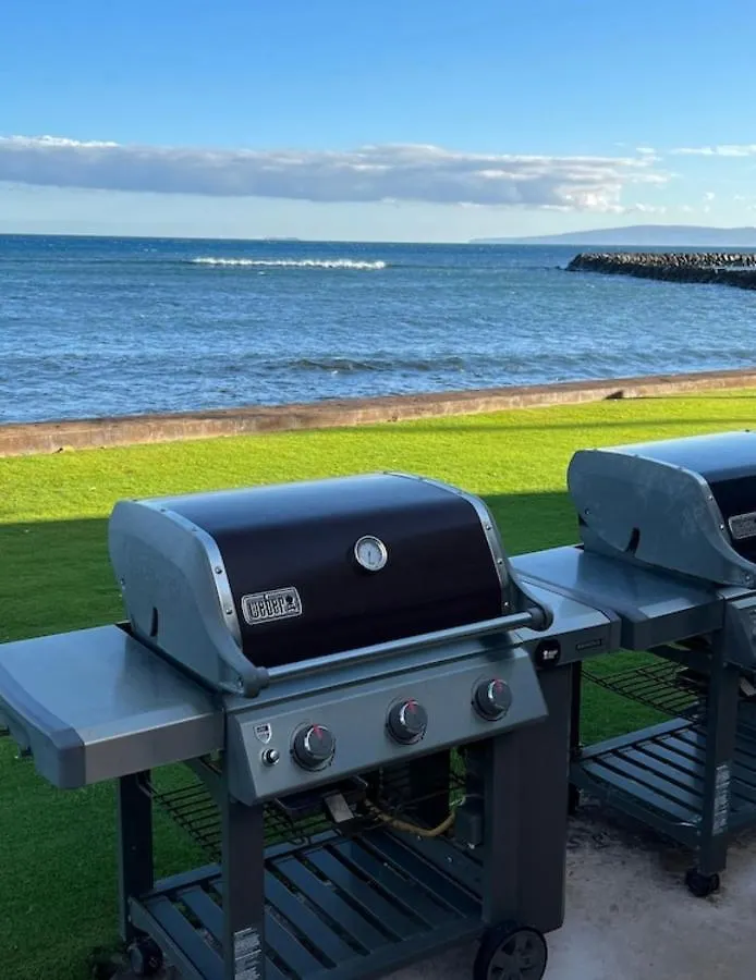 This Place Is Different!! Award Winning! Oceanfront, View View! Wailuku