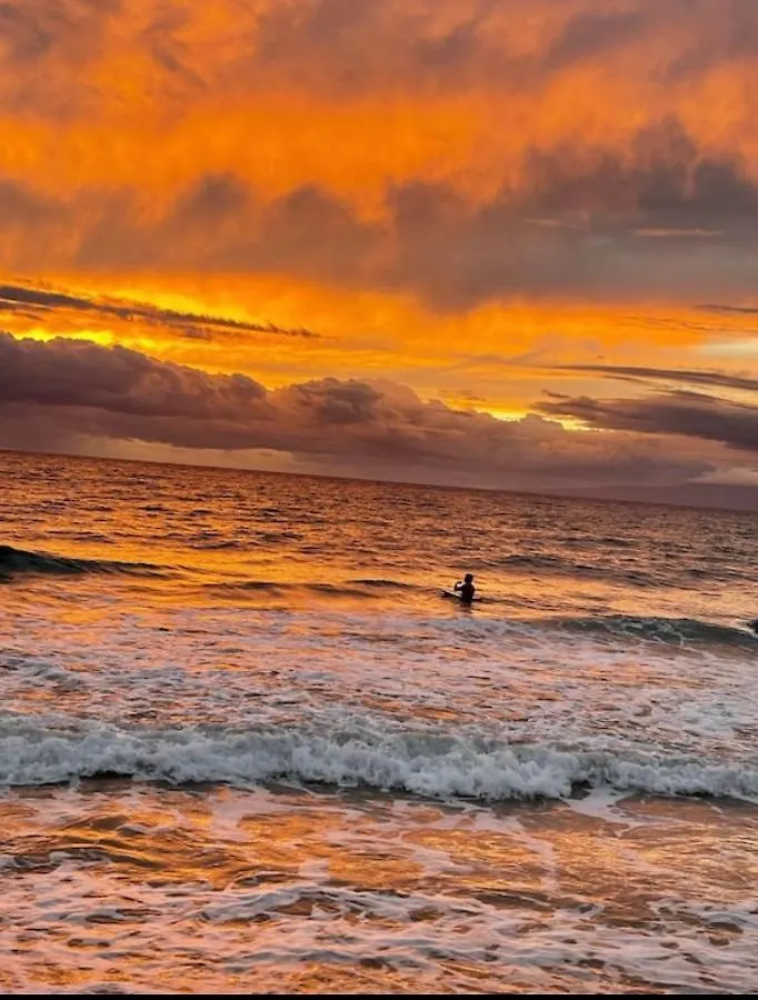 Appartement This Place Is Different!! Award Winning! Oceanfront, View View! Wailuku