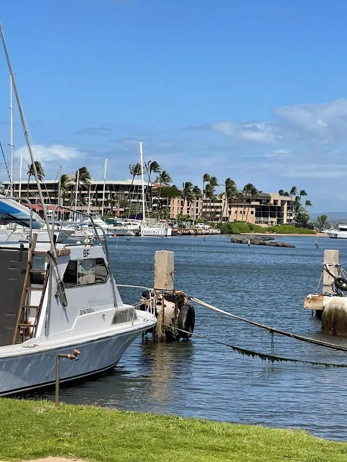 This Place Is Different!! Award Winning! Oceanfront, View View! Wailuku Appartement