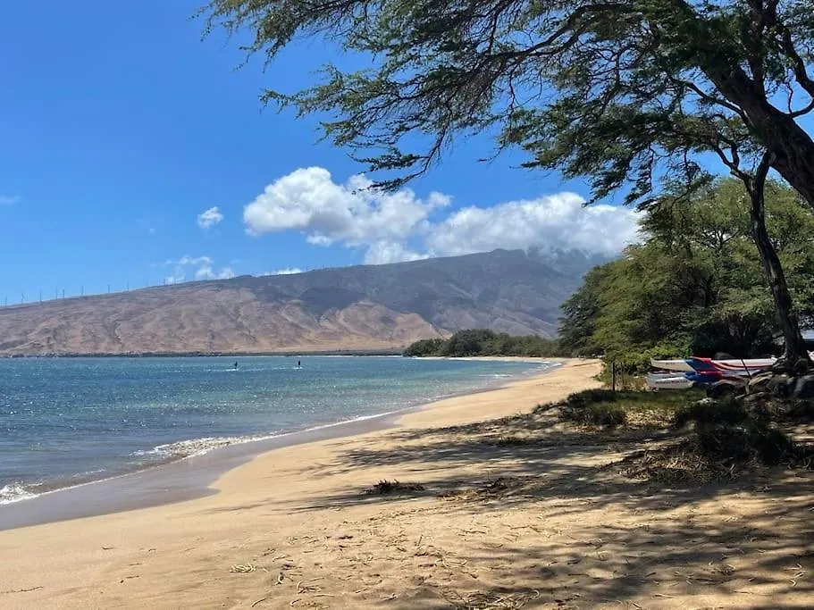 This Place Is Different!! Award Winning! Oceanfront, View View! Wailuku 0*,