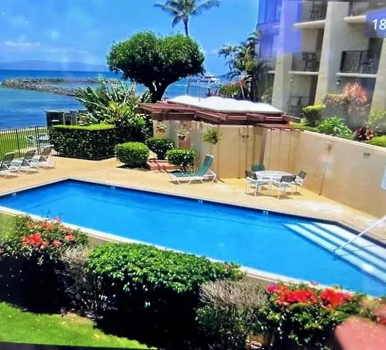 This Place Is Different!! Award Winning! Oceanfront, View View! Wailuku United States